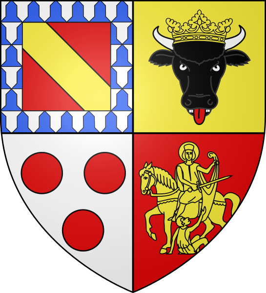 Désembouage Seine-et-Marne