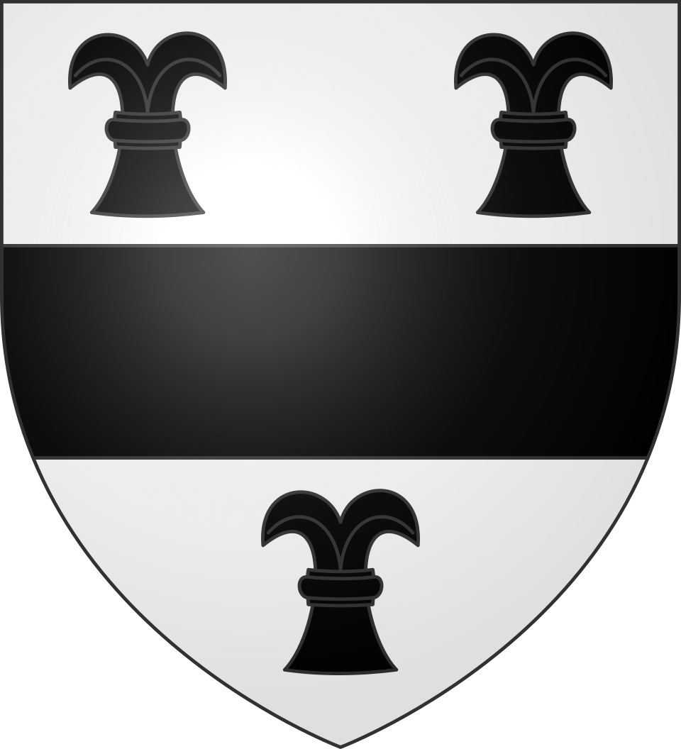 Désembouage à Moisenay