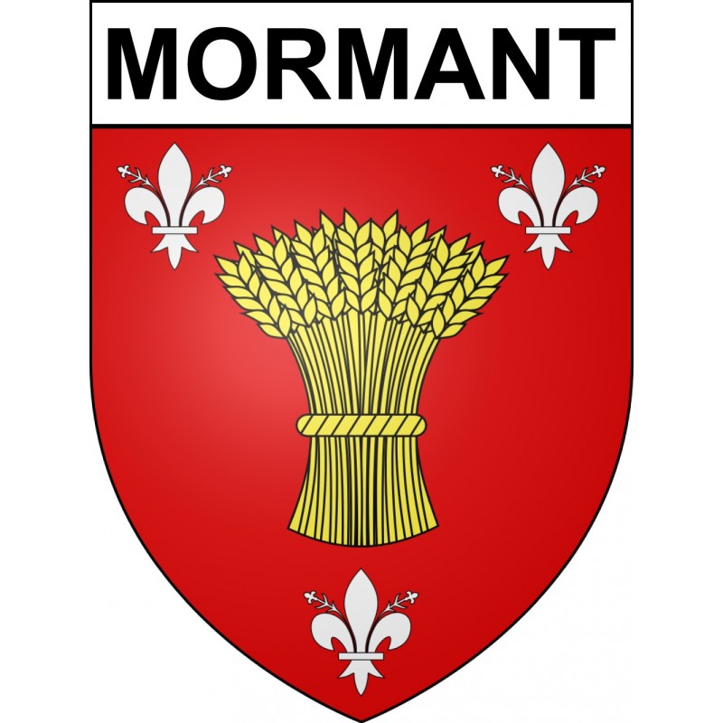 Désembouage à Mormant